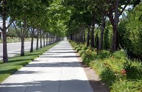Our tree experts have extensive knowledge on the care and removal of trees, and we are members of multiple arborist associations. New Berlin Tree Care Services New Berlin Tree Removal Services
