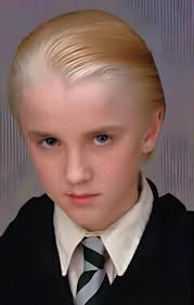 Coho Masters Swim Team