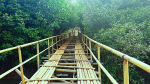 Nama pantai lampon juga ada di daerah lain, tepatnya di kecamatan pesanggaran kabupaten banyuwangi 68488. Sudah Pernah Ke Pantai Laguna Lembupurwo Mirit Kebumen Belum Teman Teman Yuk Ke Sana Untuk Menikmati Keindahannya