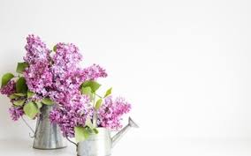 Frühlingsblumenstrauss in weiss zum selber machen diy anleitung. Blumenstrauss Desktopbilder Bilder Und Fotos