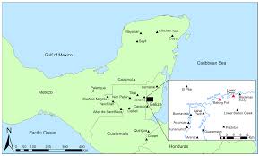 Classic Maya Settlement Systems Reveal Differential Land Use Patterns in  the Upper Belize River Valley