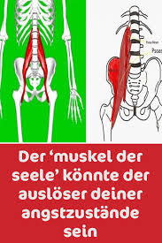 Der Muskel Der Seele Konnte Der Ausloser Deiner Angstzustande Sein Angstzustand Muskeln Psychisches Wohlbefinden