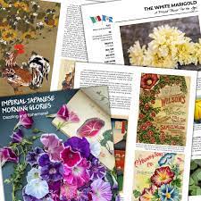Baker Creek Heirloom Seed Company Did You Enjoy The Seed Stories In The 2021 Whole Seed Catalog Then You Will Enjoy The 2022 Whole Seed Catalog Which Will Be Bigger