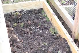 Why compost on a garden bed? How To Start Direct Composting The Kitchen Garten