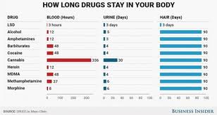 Heres How Long Drugs Like Alcohol Cocaine And Lsd Stay In