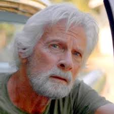 Matt Houston (TV Series 1982–1985)