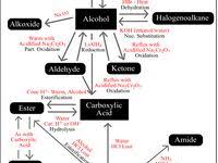 Aromatic Map Organic Chemistry Organic Chemistry Reactions Teaching Chemistry