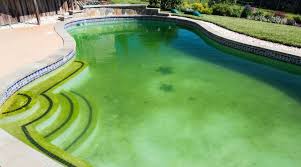 After a cold winter, spring emerges. How Do I Get The Green Out Of My Pool Pivot Solar Breeze