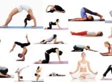 kayakalpa yoga tamil pdf