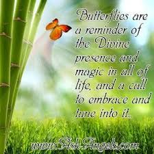 Black And White Butterfly Spiritual Meaning Butterfly Meaning The Symbolism Will Surprise You Butterfly Meaning Butterfly Quotes Spiritual Meaning