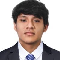 1400+ "Pingo" profiles