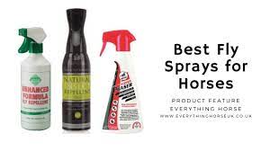 Best Fly Sprays For Horses Summer 2021 Everything Horse