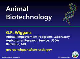 Ppt Animal Biotechnology Powerpoint Presentation Free Download Id 532430