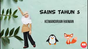 Ciri khas tersebut terdapat pada bahagian atau permukaan badan haiwan. Ciri Khas Dan Tingkah Laku Haiwan Tahun 5 Youtube