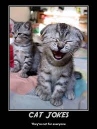 The List Of 30 Silly One Liner Cat Jokes Funny Animal Pictures Funny Animals Funny Cats And Dogs