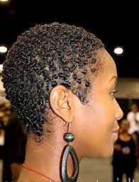 Short Hairstyles For Black Women Natural Hairstyles Http Www Shorthaircutsforblackwomen Natural Hair Styles Natural Hair Styles For Black Women Hair Styles
