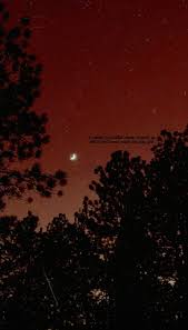 Iphone walls 5299 free iphone wallpapers. Arctic Monkeys Wallpaper Explore Tumblr Posts And Blogs Tumgir