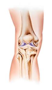 X Bein Und O Bein Fehlstellungen Im Knie Entgegenwirken Gelenk Klinik De