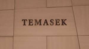 Our portfolio is s$306 billion and is focused primarily in asia and singapore. 10 Things I Learned From Temasek Review 2020