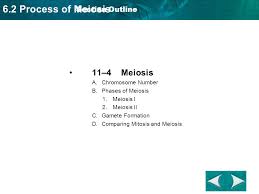 Check spelling or type a new query. Section 11 4 Interest Grabber How Many Chromosomes Ppt Video Online Download