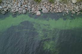 Idalia Threatens to Stir Up Lake Okeechobee's Toxic Algae Blooms - The New  York Times