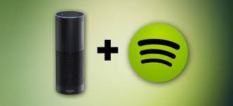 You can play podcasts on your alexa speaker using a variety of platforms, like spotify or apple here's how to do it. How To Play Spotify Music On The Amazon Echo