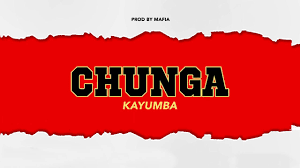 Tubidy is a website where you can download music for free so i thought i would show you how to use it. Audio Kayumba Chunga Download Dj Mwanga