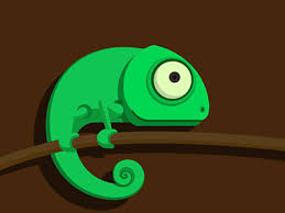 Chameleon Illustration Toucan Illustration 2d Character Animation Illustration