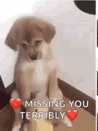 Missing You Gifs Tenor