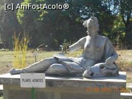 Grădina botanică din cluj napoca oază de liniste si relaxare. Poze GrÄƒdina BotanicÄƒ Cluj Napoca Cluj P 1 16 Amfostacolo