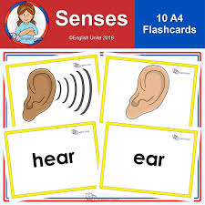 Flashcards A4 Senses English Unite Flashcards Vocabulary Activities Vocabulary Flash Cards