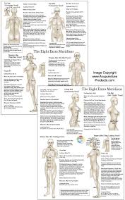 Extraordinary Acupuncture Points Chart Www