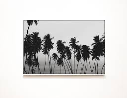 Black And White Palm Tree Wall Art Palm Tree Photograph Wall Art Sri Lanka Tropical Fine Art Print Palm Trees Large Canvas Surfer Art Beach Summer Poster Palm Tree Decor Surfer Art Palm Tree Wall Art Wall Art