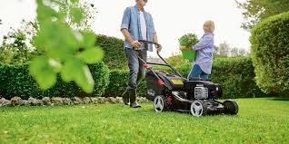 Pin On Gardening Tips