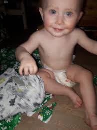 Peacock Sighting in Shirley and Mastic Area