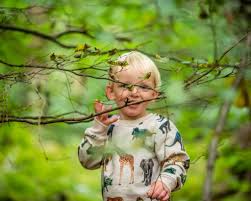 Joseph beuys's project 7000 eichen (7000 oaks) began in 1982 at documenta 7 in kassel, germany. Joseph Beuys The Art Of Arboriculture Awa Trees