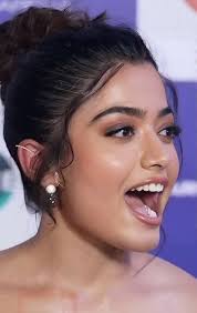 Appreciation of Bear Photography