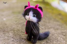 pin na doske my felting handmade