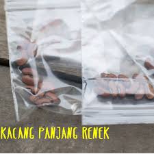 Cara menanam kacang panjang menyemai kacang panjang mudah dan simple. Biji Benih Kacang Panjang Renek Home Furniture Gardening On Carousell