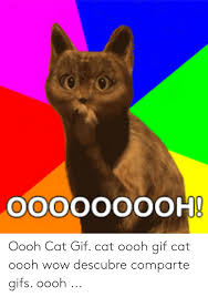 00000000h Oooh Cat Gif Cat Oooh Gif Cat Oooh Wow Descubre Comparte Gifs Oooh Gif Meme On Me Me