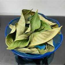 Dia melompat ke dalam trak. Bay Leaf Daun Salam Baka Indonesia Shopee Malaysia