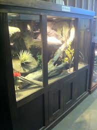 Pin By Tettra On Aussie Bush Themed Enclosures Reptile Enclosure Reptiles Reptile Cage