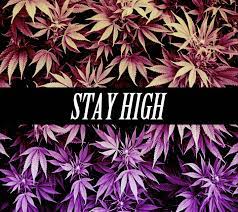 The best wallpapers on the net! Stay High Wallpaper By Antoniosb C4 Free On Zedge