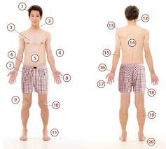We did not find results for: Body Parts In Arabic The Body Softarabic Com