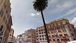 Appartamenti in vendita a piazza di spagna. Piazza Di Spagna Abbattuta Una Palma Storica Uccisa Dal Punteruolo Rosso