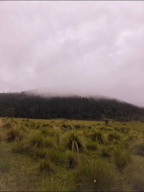 Hike Nevado a Valle de Bravo 3