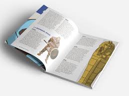 Facial hair is hair grown on the face, usually on the chin, cheeks, and upper lip region. Jrm Graphics The Facial Hair Handbook