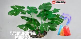 Tutorial Monstera Dari Kresek Monstera How To Make Plastic Bag