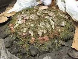 حنيذ جابر الريشي محايل عسير 27 8 1430 youtube