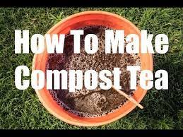 In This Video I Show You How To Make The Simplest And Easiest Compost Tea Ever This Compost Tea Only Requires Compost Tea How To Make Compost Vermicompost Tea